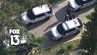 Four teens arrested after multiple car burglaries in Tampa screenshot 4