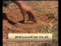 زرع الألغام Clip0 