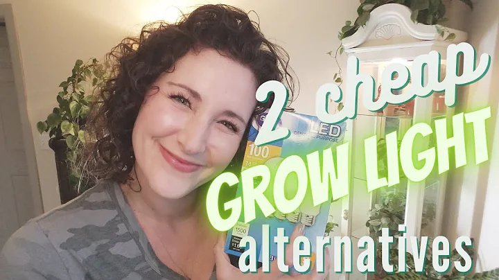 2 Cheap Alternatives to Expensive Grow Lights