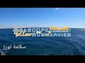 حجز رحلة غواصة رويال سي سكوب الفردقة بافضل سعر