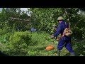 Shock: Giant PYTHON attacks humans, rescues the siege and takes the python to a forested mountain.