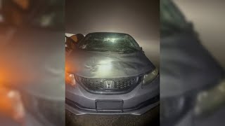 Horse dies after car crashes into it in dense fog in Merced County