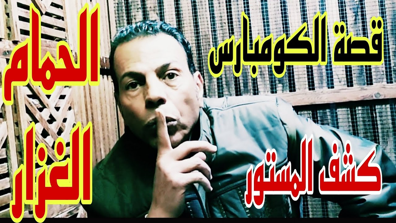 🔴 طلقات نارية من الحاج #محمد_زروقه #الحمام_الغزار