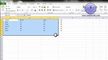 Complete Ms Excel 2010 Hindi Video Training In Hindi / Urdu