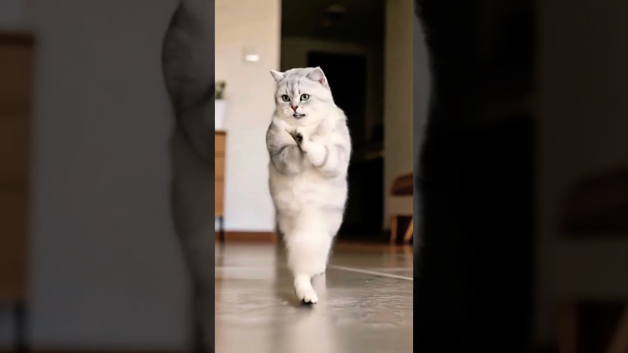 Love Incentive Program 