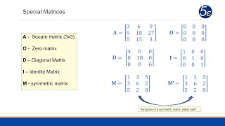 Linear Algebra - Special Matrices and Linear Independence