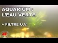 Aquarium : Eau verte et filtre UV