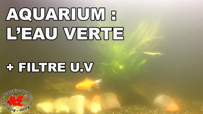 Guide] Le stérilisateur UV en aquarium - Zone Aquatique