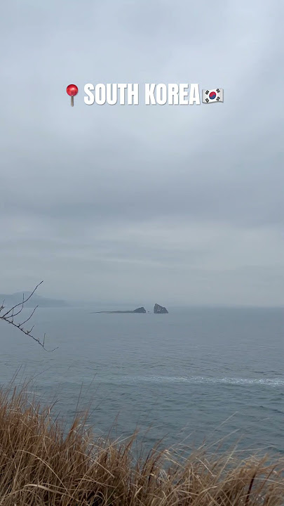 The view halfway through the hike #travel #korea #jeju