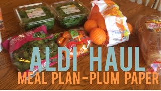 Healthy ALDI Haul | Meal Plan | Plum Paper Planner screenshot 5