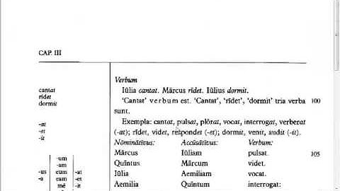 Lingua - 3.G - Reading Tutorial
