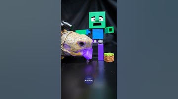 Minecraft ASMR Mukbang Eating Zombie 🧟