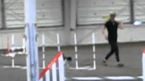 SP Open JumperWW.AVI