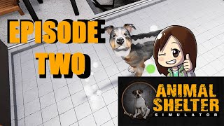 Animal Shelter Simulator Episode 2-Washing Station Time
