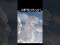 蔵王　スノーモンスター　山形やべえっぺ！