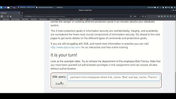 SQL - Injection (intro) - It is your turn
