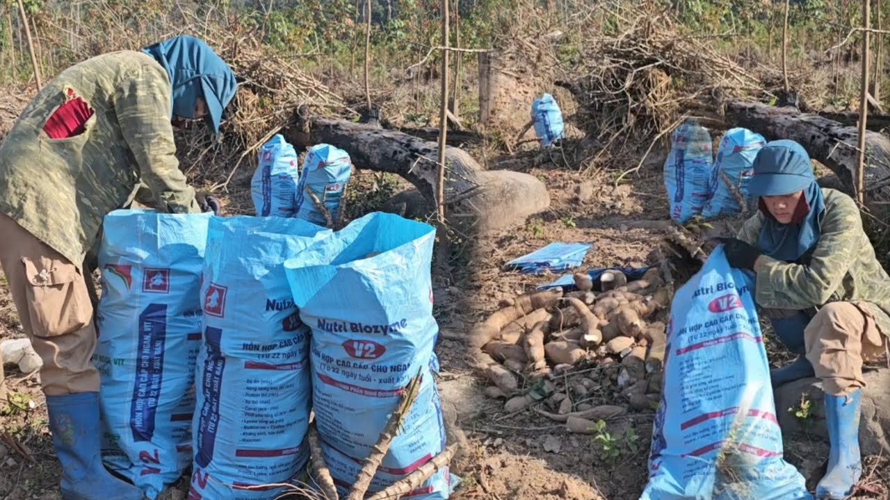 18 มกราคม ค.ศ. 2026