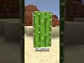 BUNKER SEGRETO NASCOSTO in un CACTUS di MINECRAFT