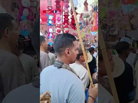 لحظة وصول وفود من مختلف المحافظات لحضور الليلة الختامية لمولد الفرغل 