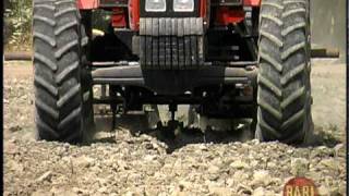 Bari Olive Oil : Planting Olive Trees