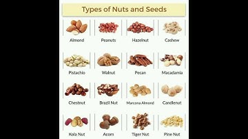 Types of nuts and seeds #shortsvideo #shorts #short #vocabularywords #vocabulary #englishgrammar