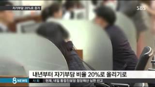 경제 실손보험 가입자 자기부담금 20%로 오른다 SBS8뉴스2014 12 18