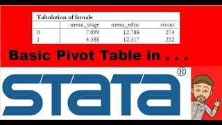 Pivot Tables In Stata