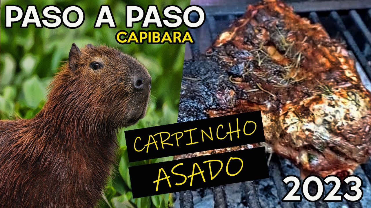COCINANDO CARPINCHO ASADO DE CAPIBARA PASO A PASO 2023 YouTube
