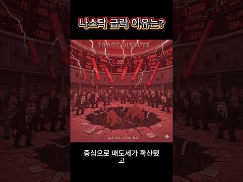 나스닥 급락 이유는? #미국주식 #나스닥 #경제 #트럼프 #비트코인 #뉴스 #경기전망 #주식 #투자 #재테크 #shorts