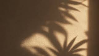 Golden Shadow Wall 1 Hour | Relaxing Ambient Background screenshot 2