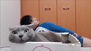 『インナーマッスルを鍛えよう』～サイドプランク編～