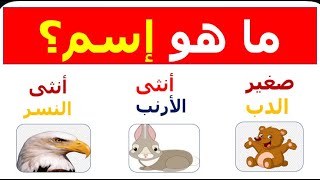 اسئلة ثقافية متنوعة عامة اسماء اناث الحيوانات في اللغة العربية للعباقرة معلومات عامة سؤال وجواب