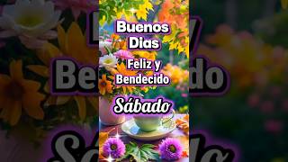 Feliz Sábado, abrazos y Bendiciones 🌷🌸🦋🌻🙏🏻