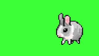 ✔️GREEN SCREEN EFFECTS: Pixel Rabbit