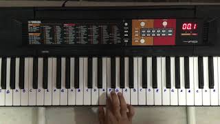 Happy Birthday To You On Keyboard Slow And Fast On Yamaha Psr F51