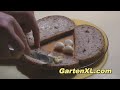 Knoblauchbrot mit Käse