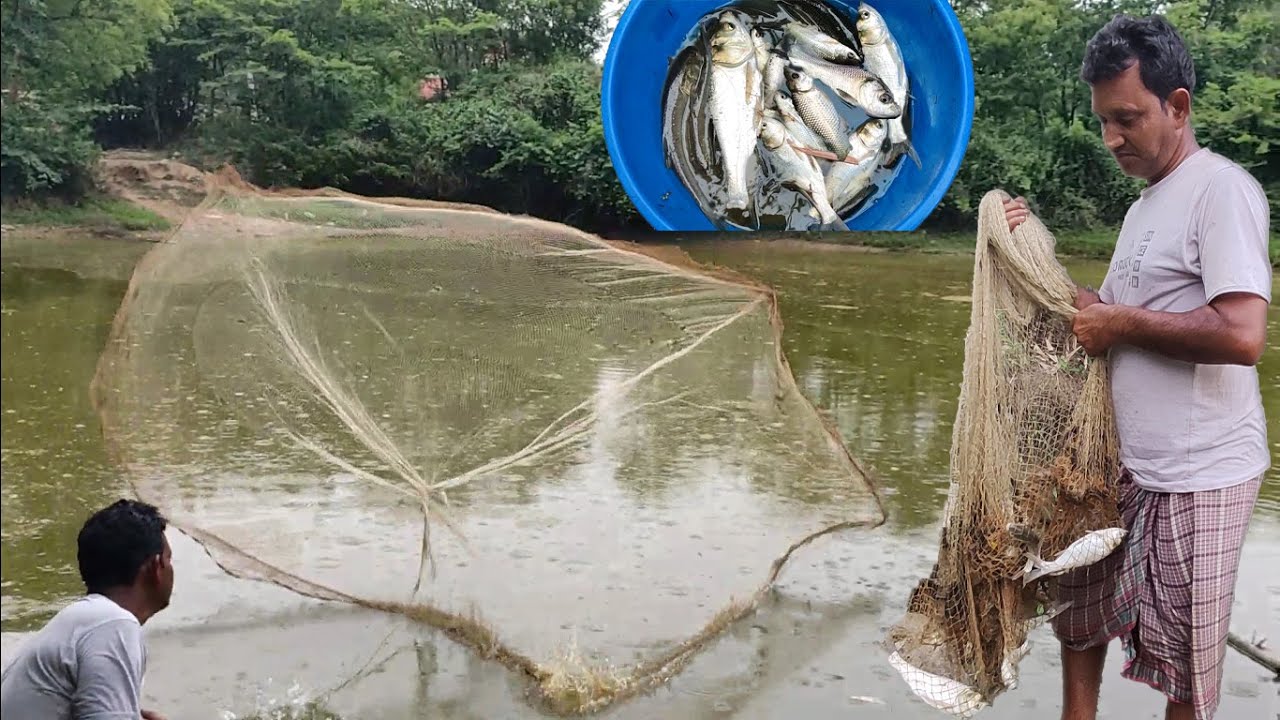 Cast Net Fishing | Traditional Cast Net Fishing in Village Pond | Catching Fish with Net