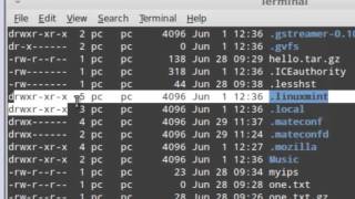 User and File Permissions