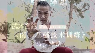 #1 Kung fu is a way of life / southern fist , nanquan basics techniques