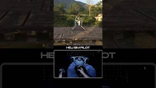 H500C in New Zealand #helicopter #pilot #landing #md500 #aviation #msfs2024 #msfs #simulator