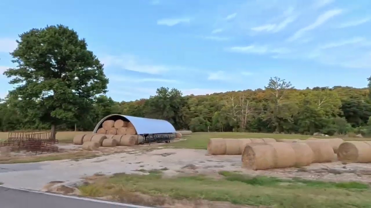 Insta360 X5 Shooting 8K 360 Pure Video at Sunset on Butcher Branch Rd. 4K P3/3