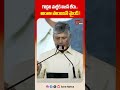 గొడ్డలి పార్టీకి విజన్ లేదు.. | CM Chandrababu Fires on YCP Party | #shorts #ytshorts #tonenews