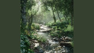 Calm Stream Pet Rhythms