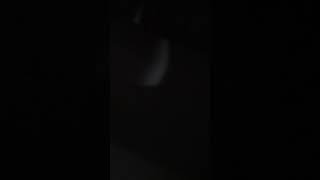 Silent Toilet Fart