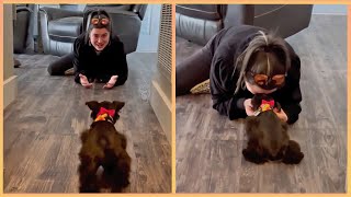 New Puppy Surprise Compilation 2024 | Wholesome Surprise Moments