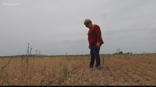 Scorched Earth: Water cuts coming for Arizona farmers