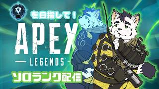 【APEX】ソロでいくランクマ…ダイヤ編！！！ #5【津戸ビスケ】