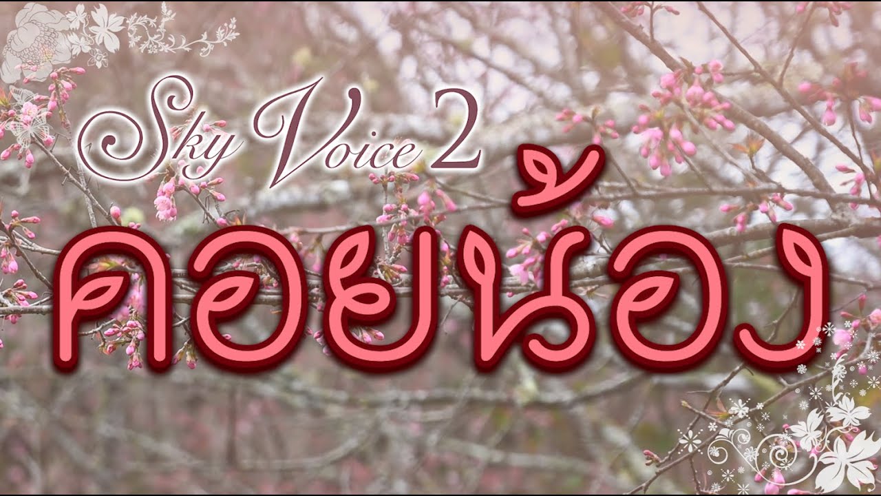 คอยน้อง - SKY VOICE [ Official Audio ]
