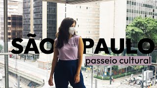 O QUE FAZER EM SAO PAULO GUIA CULTURAL VISITANDO MUSEUS EM SP SAH AYD