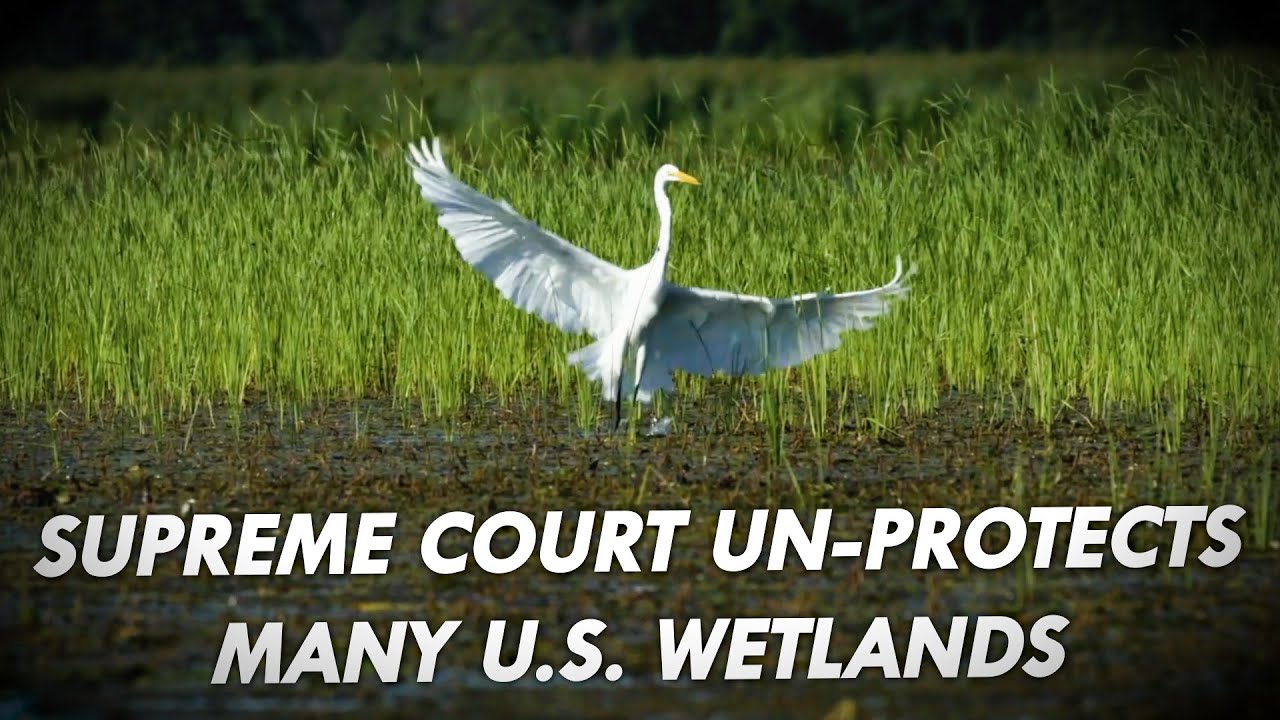 Supreme Court Un-Protects Many U.S. Wetlands